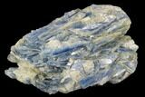 Vibrant Blue Kyanite Crystals In Quartz - Brazil #118872-1